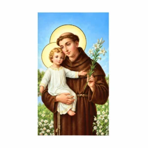 Image Saint Antoine